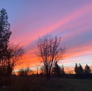 Meet your Posher, Jaylynn